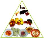 piramide_alimentazione